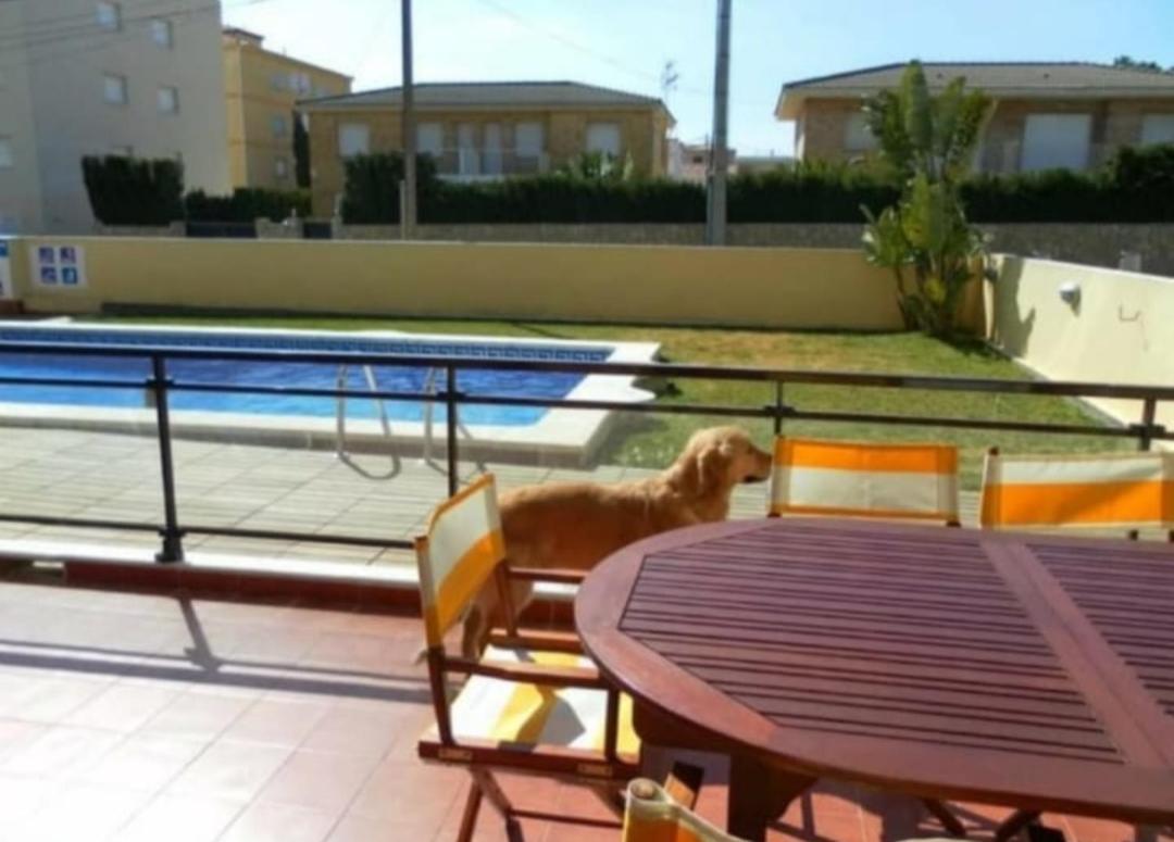 Apartamento Con Terraza Y Acceso Directo A La Piscina Y A 50 M De La Playa Miami Playa Dış mekan fotoğraf